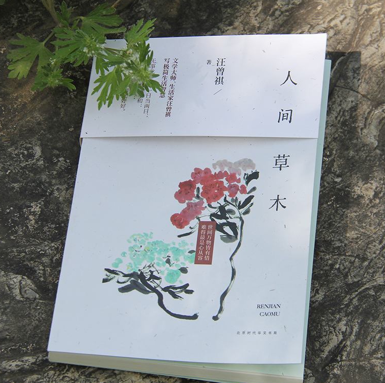 我现在后悔了，本应该做个美术师，却写了一辈子屁的小说！被誉为京派小说家的