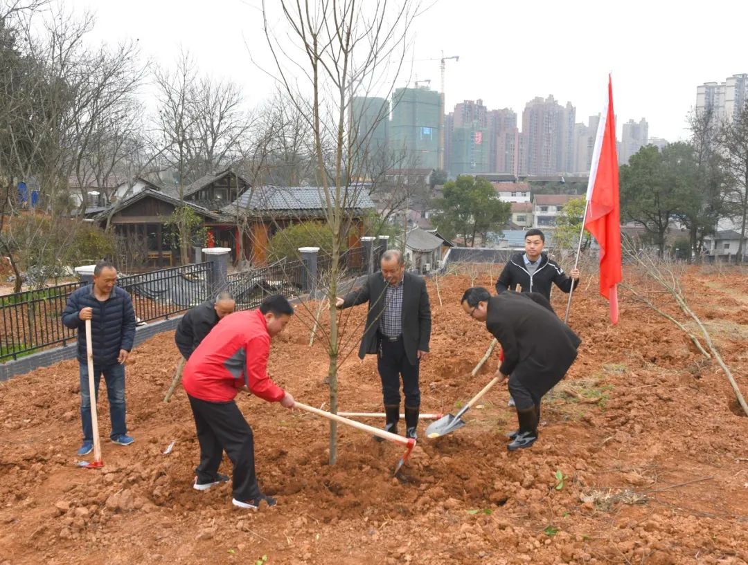 创国家森林城市 建怀化绿色家园 黎春秋王建球李万千印宇鹰等参加义务植树活动