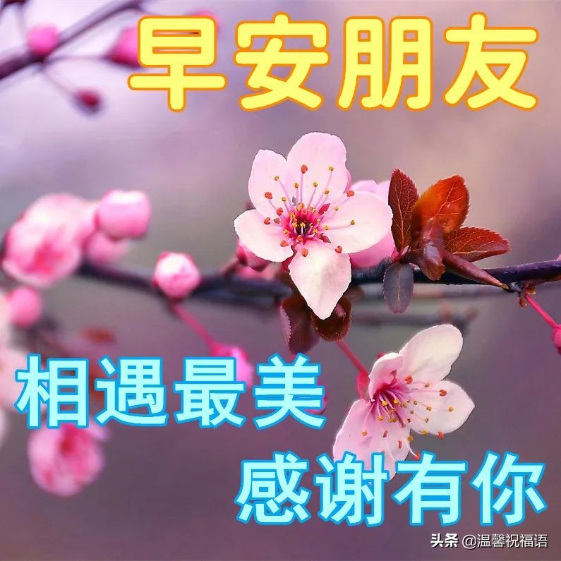 3月27日春暖花开早安图片带字推荐，早上好问候语图片精选