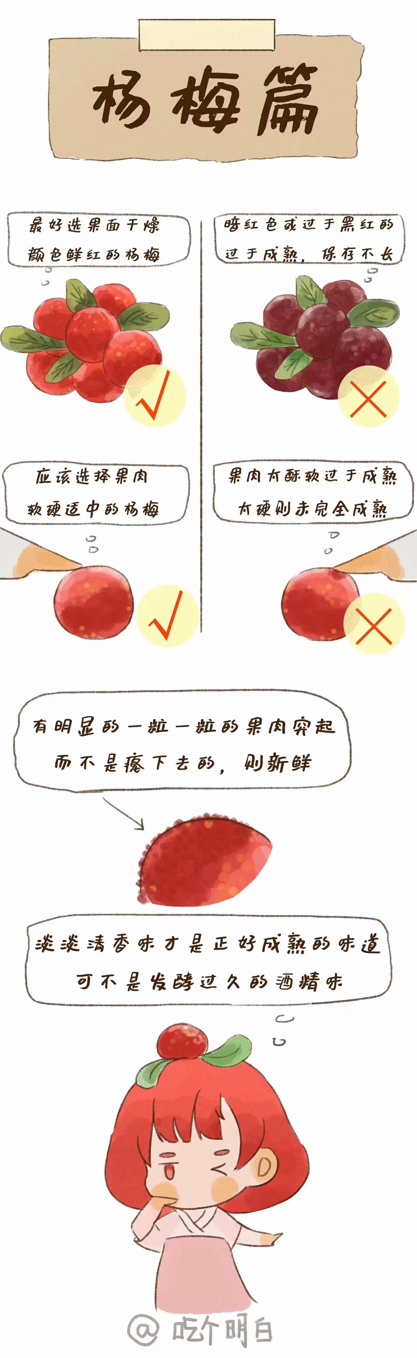 夏季挑水果攻略來嘍