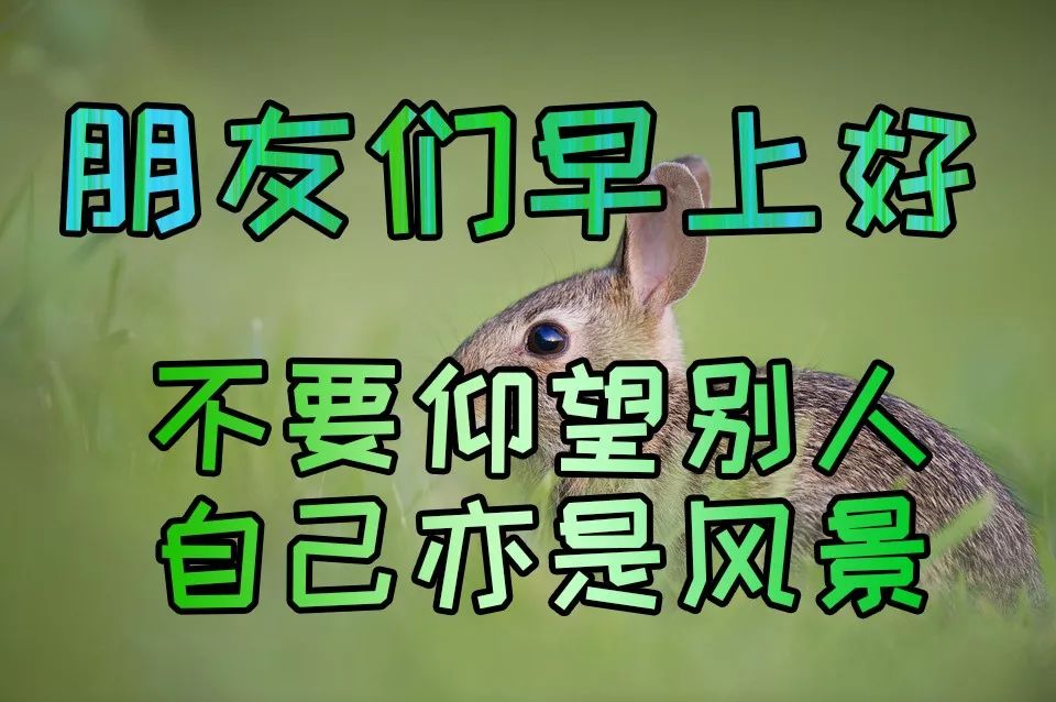 周四温馨早安祝福语录短信精选 早安美好，简单生活，开心自在图片