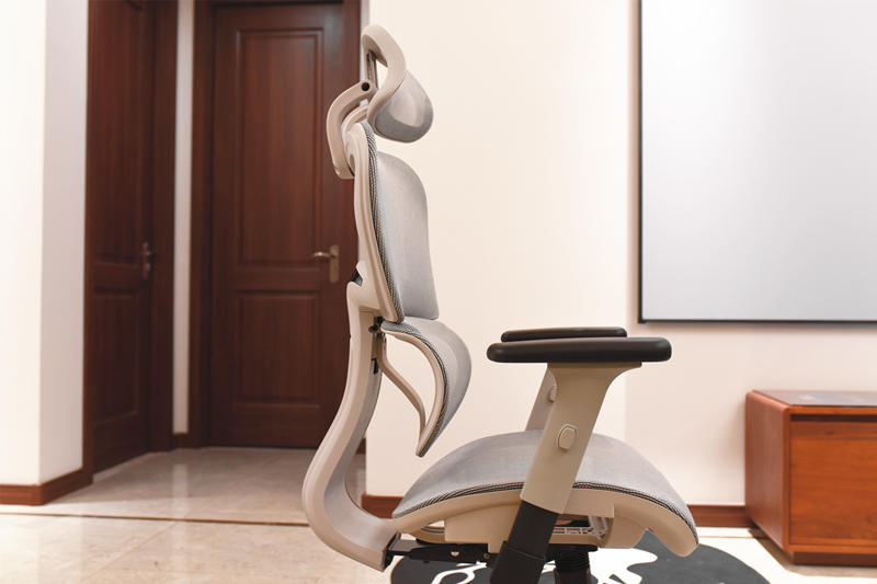 选一把好椅子，提高生产力-达宝利S10人体工学椅