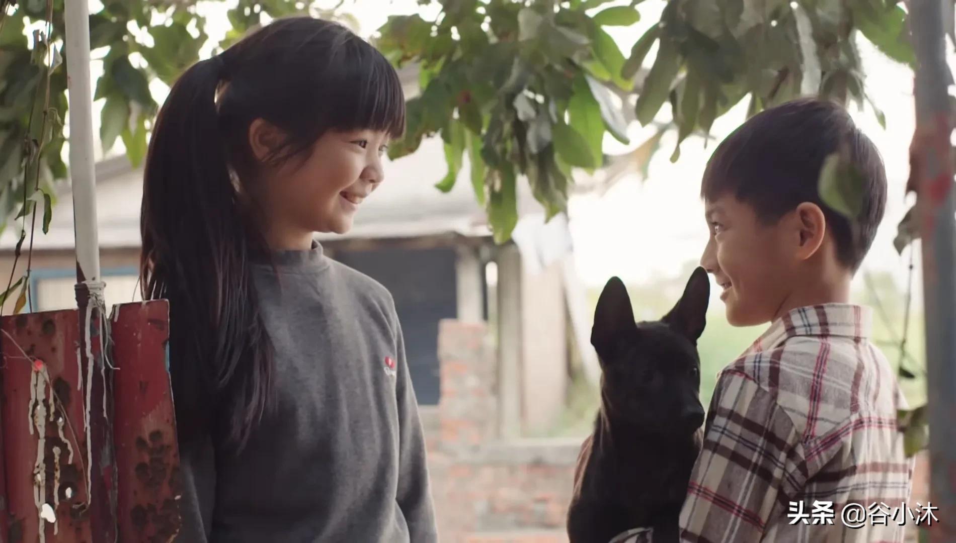 在笑泪中被抚慰，在琐碎中被治愈。越是平凡的故事才越引人共鸣