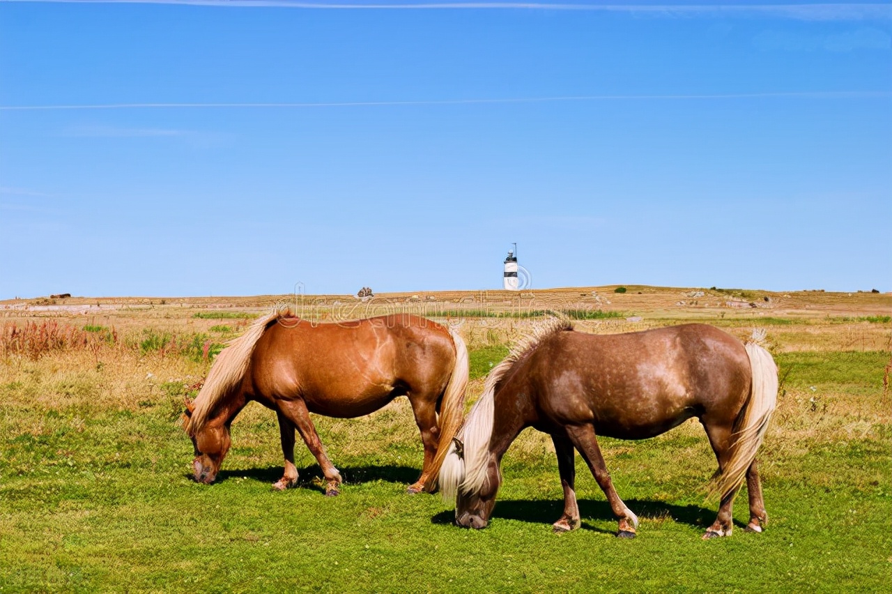 中美两国高考英语同考“情绪英语词汇”的情况分析及教学策略探索