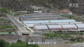 新华全媒+｜“Z世代”的种植达人是怎样炼成的？