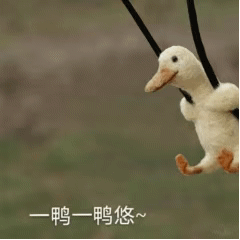沙雕可爱的表情包：恋爱找我，我会6馍