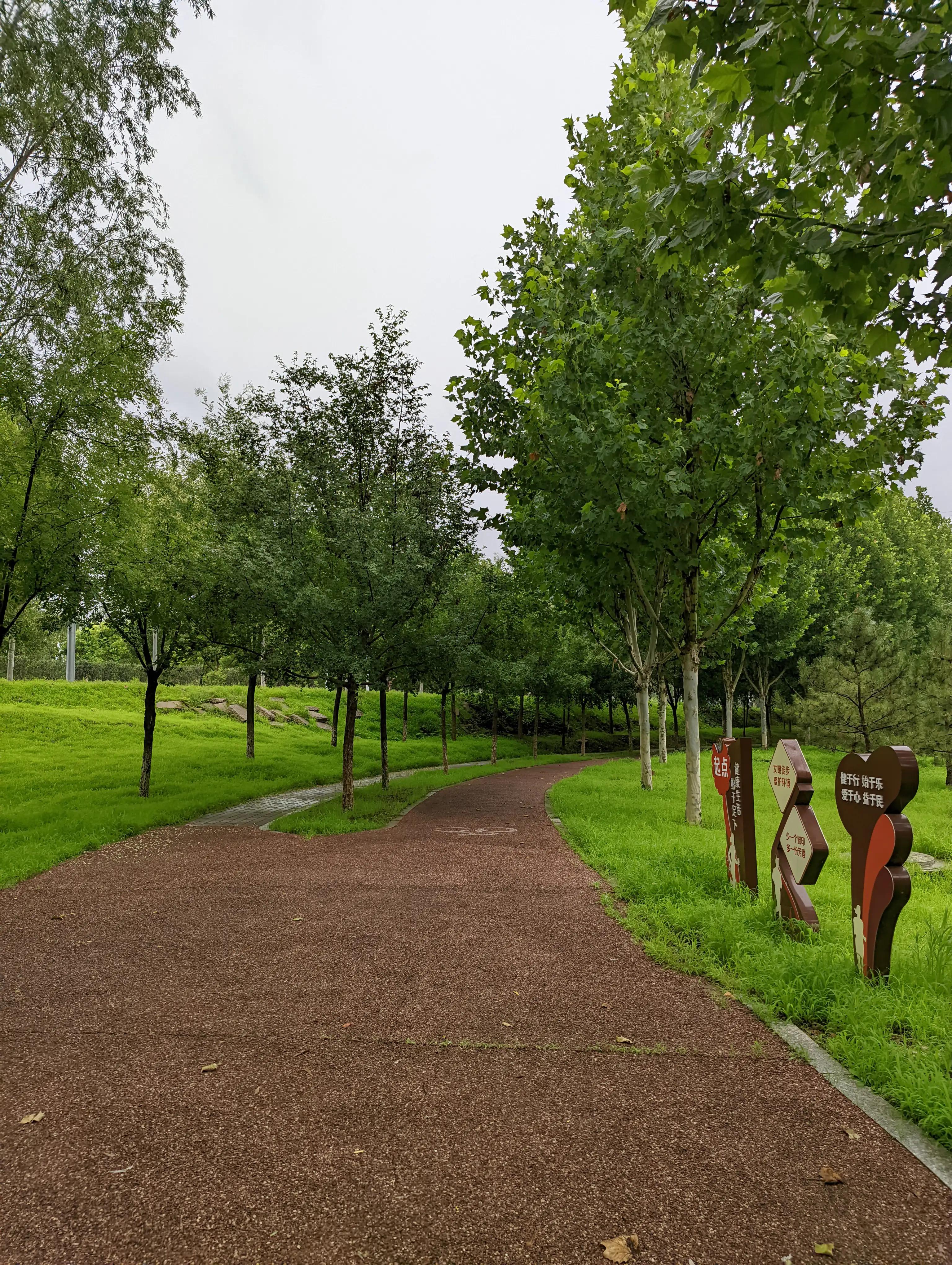 小米手机可以试试谷歌相机，比原生相机效果好