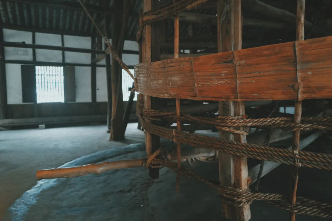 最近超火的盐帮菜之乡让我大开眼界，奇怪的知识又增加了