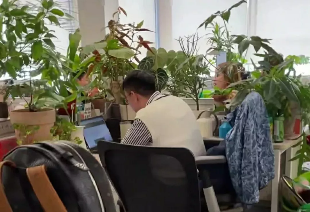 程序員的工資有多高？看工位就知道了