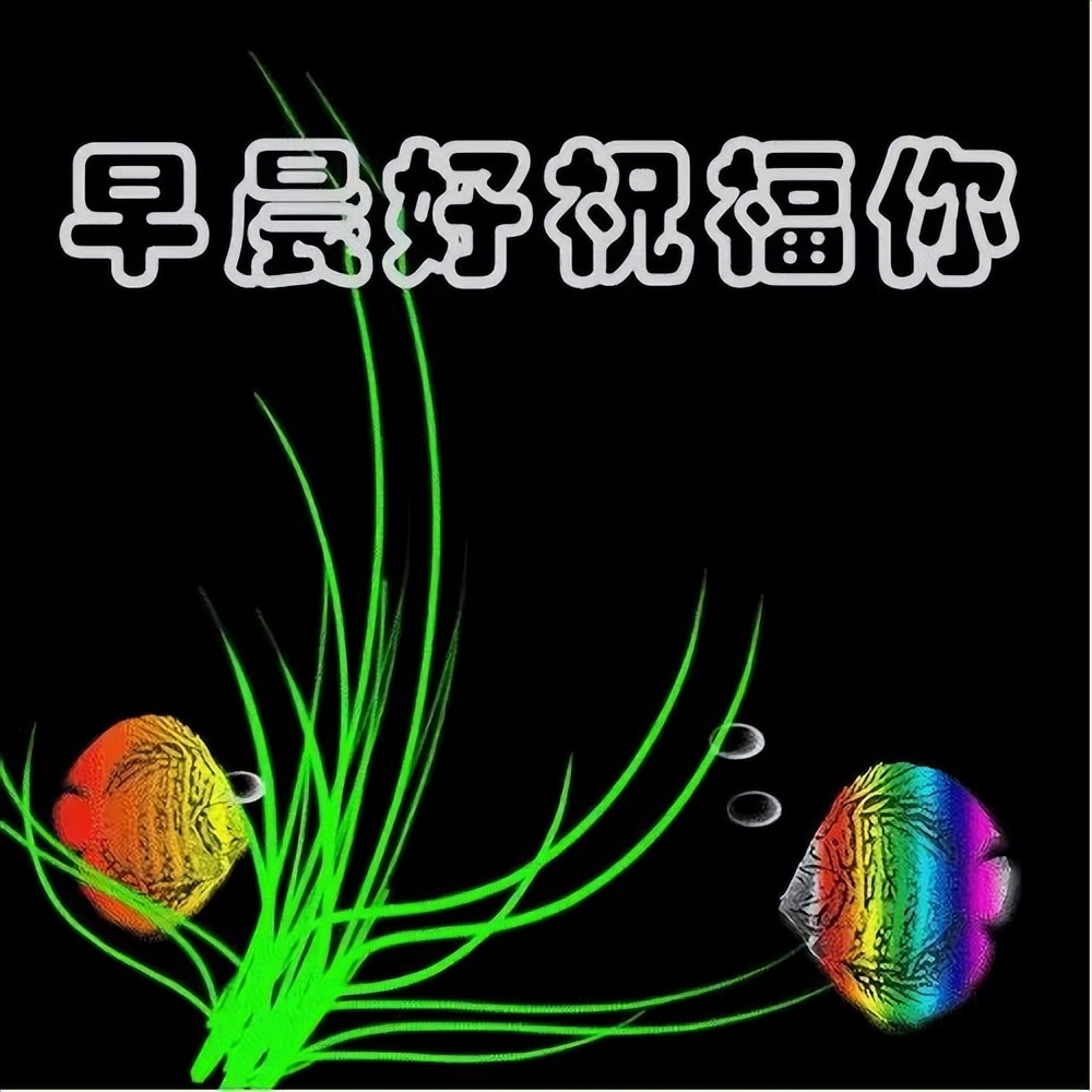周末最新早上好表情包，清晨的问候，牵挂的你，感恩有你图片