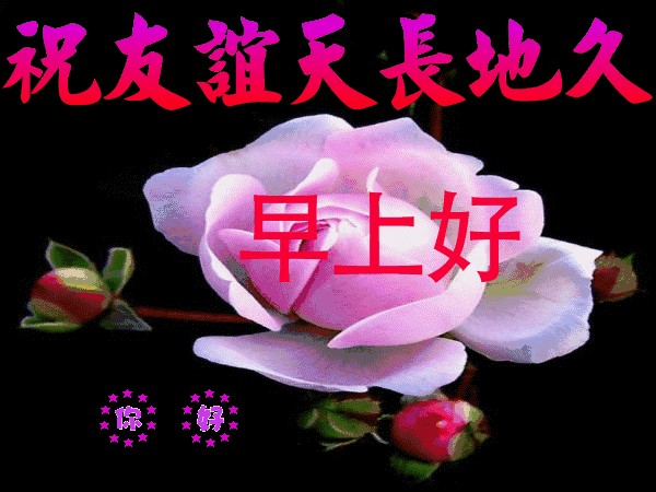 美好温暖的早上好动态祝福说说图片 不管多远的路，都能走到尽头图片