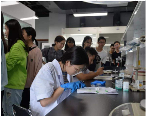 大学生放假申请留校，填写留校理由时，几乎没有学生敢说实话