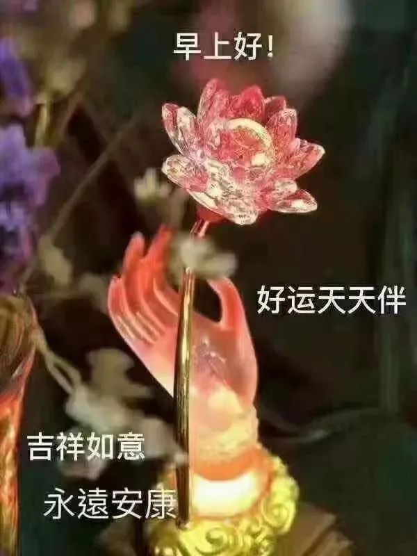 早上好最暖的问候语，平安健康是最真的祝福，懂得知足就会幸福图片