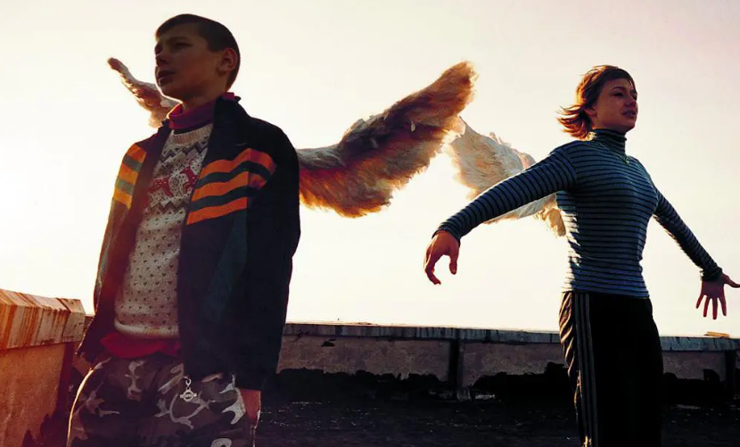 电影遗弃好看吗 _晶羽科技