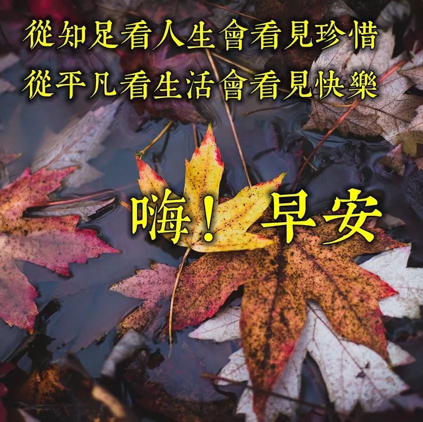 新的一周早安，捎上我的问候，拥抱我的祝福，愿你收获美好每一天