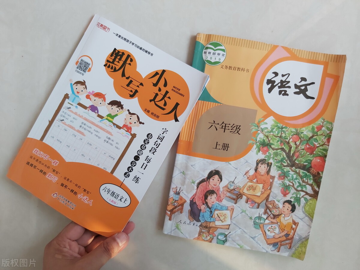 小学校本研修总结（语文教学工作总结个人范文）