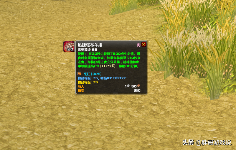 魔兽TBC：P3猎人命中不足？别浪费附魔和宝石孔，这2款道具更优秀