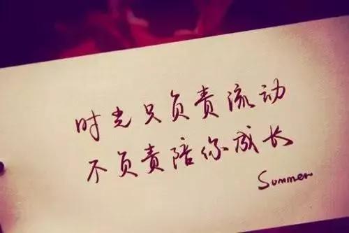 你结婚了，新娘不是我，从你的世界路过，最后还是成了你的过客