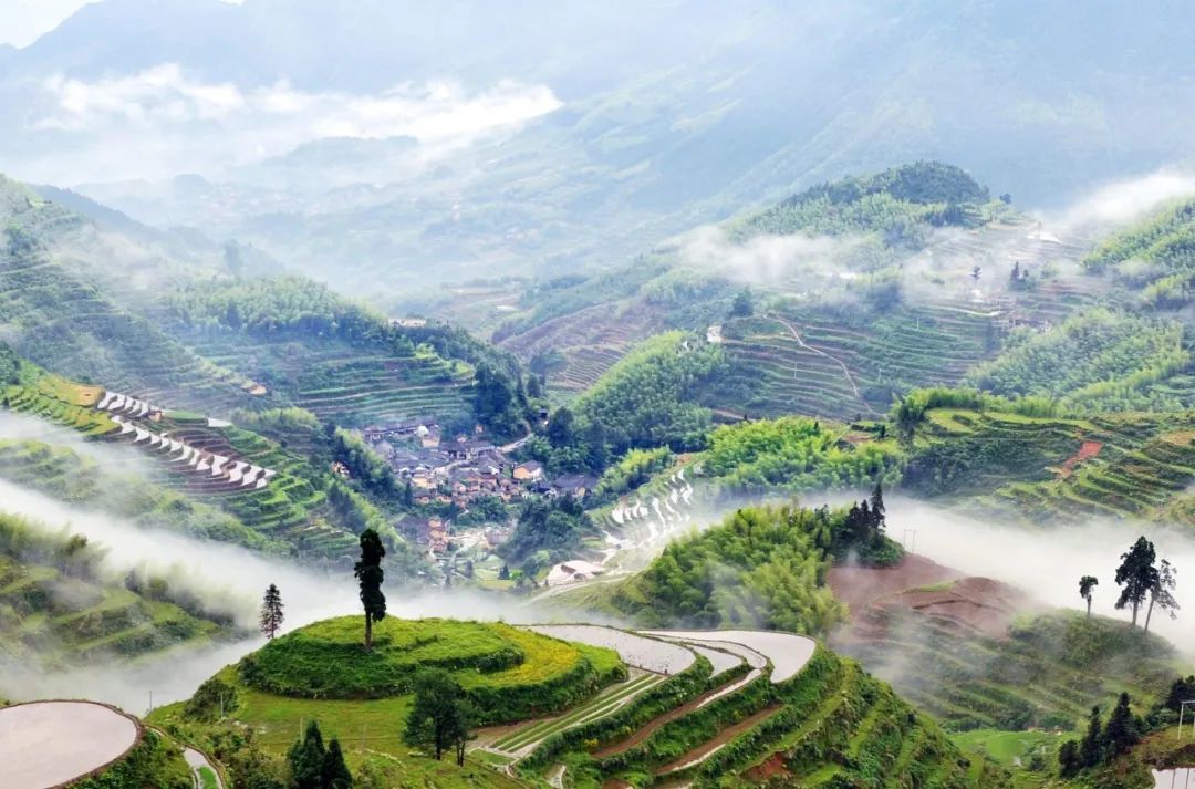 四川天府新区世界环境日寄语：童话中国 我们一同守护