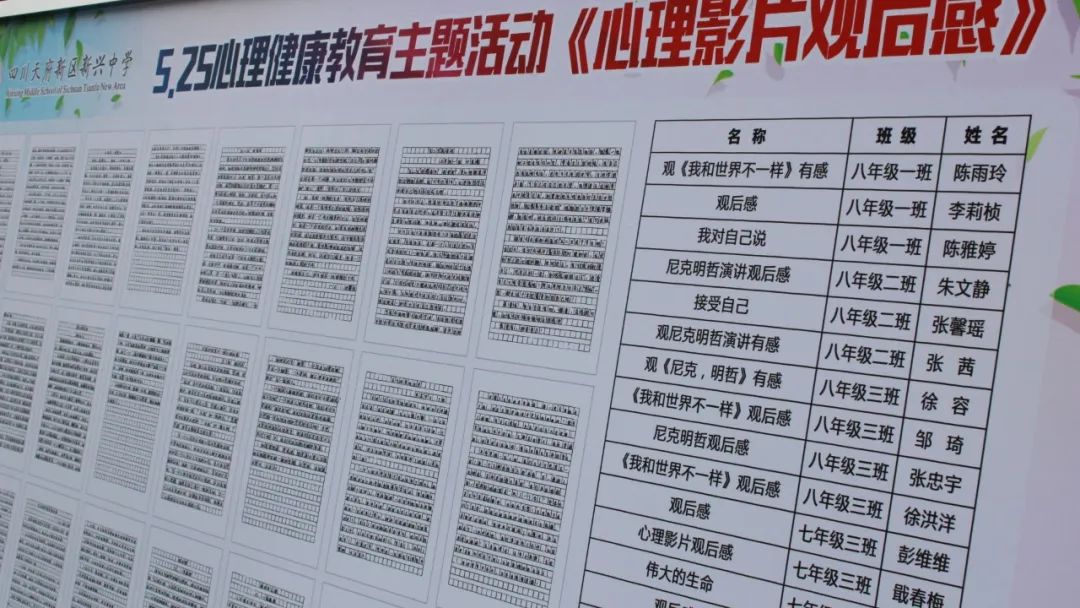 新兴中学和附小承办并开展“携手青春，微笑向阳”心理健康活动