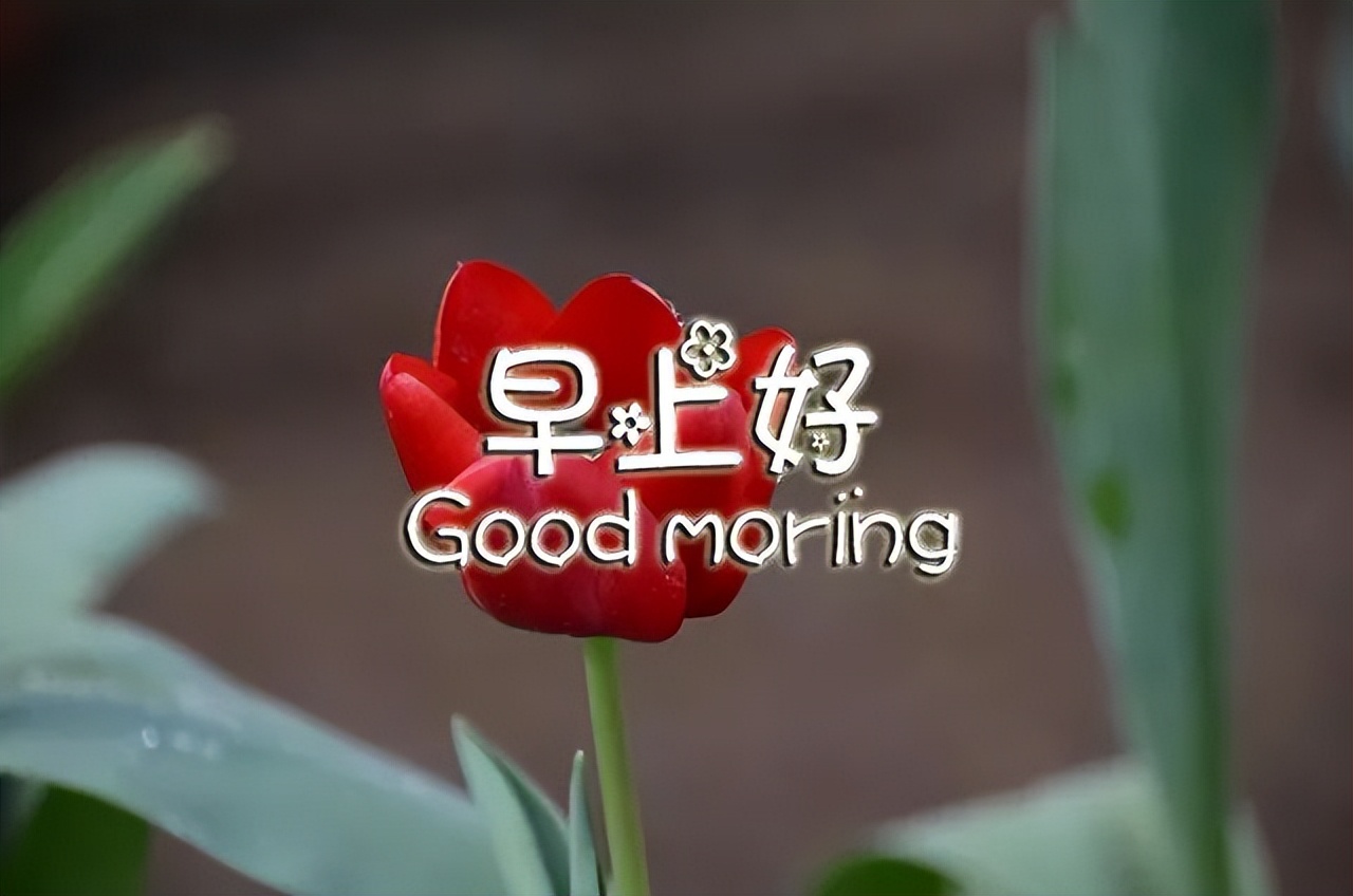 2022新版朋友圈早上好祝福图片带字，开心每一秒，快乐每一天图片