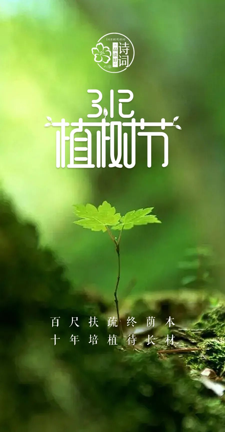「美文美图」植树节 | 种下一份希望,收获一份美好