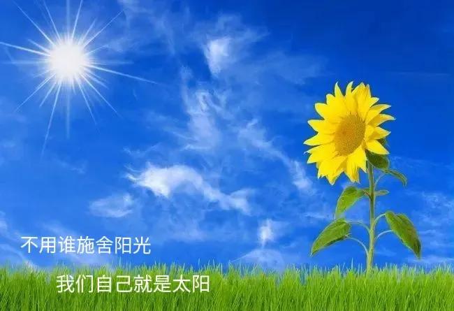 2022，做自己的太阳，眼里有爱，心中有光