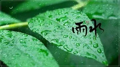 二十四节气雨水暖心寄语 雨水时节快乐问候祝福语