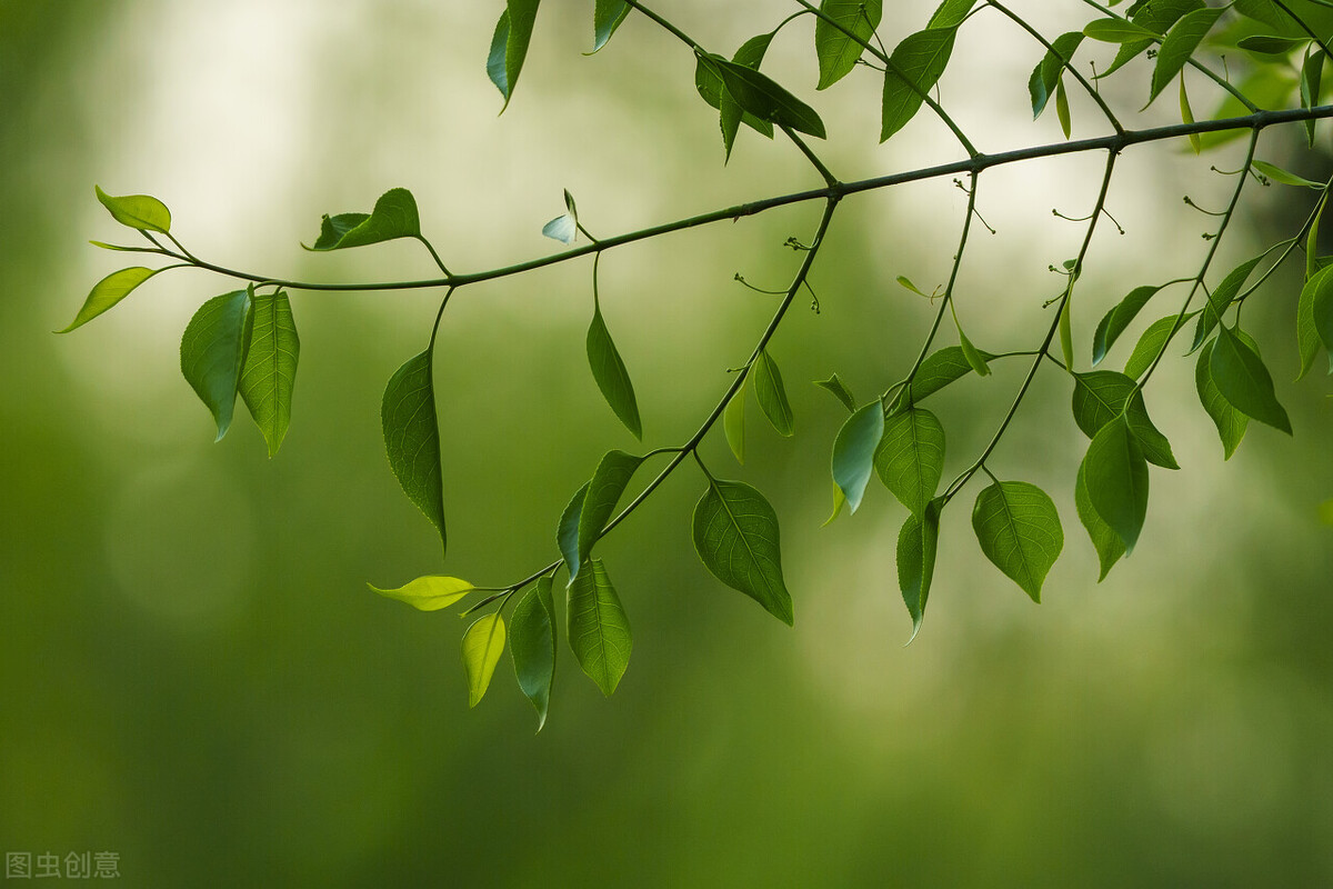 写作路上，少谈坚持，多谈热爱
