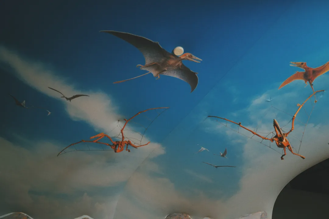 最近超火的盐帮菜之乡让我大开眼界，奇怪的知识又增加了