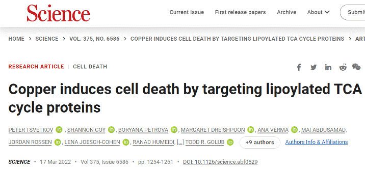 铜死亡：最新发现的细胞死亡方式
