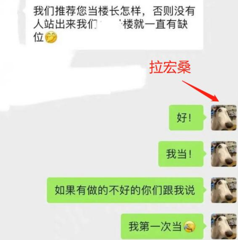 上海00后楼长获央妈认可，真实学历叫人惊艳，却因第一学历被嘲讽