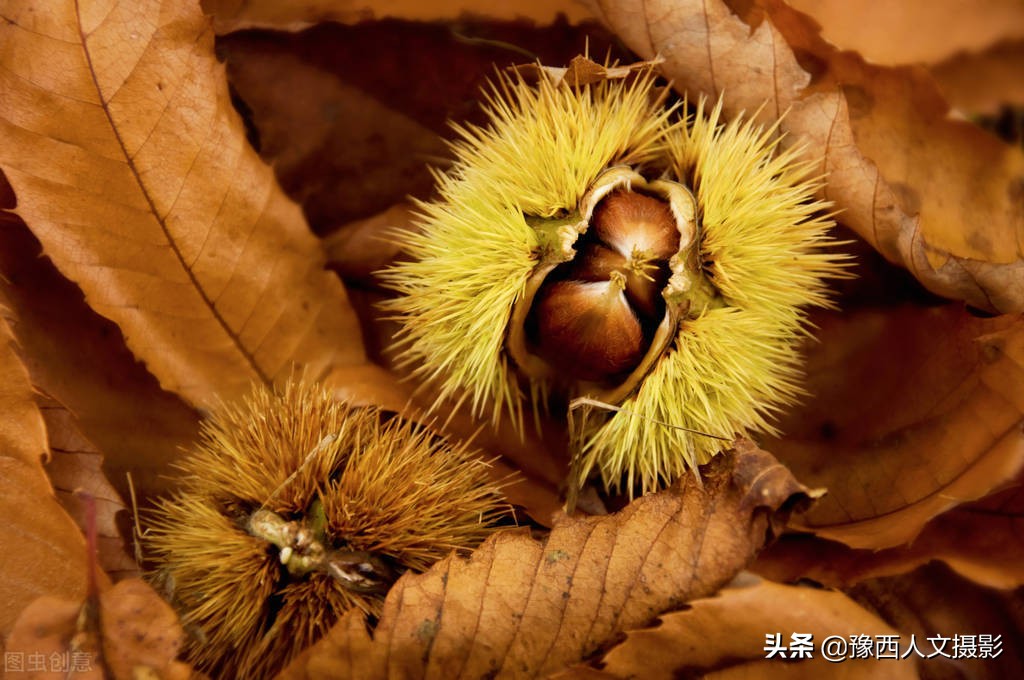 “洛陽版愛迪生”，51歲突然喜歡上搞發(fā)明，腦子里常有奇怪的畫面