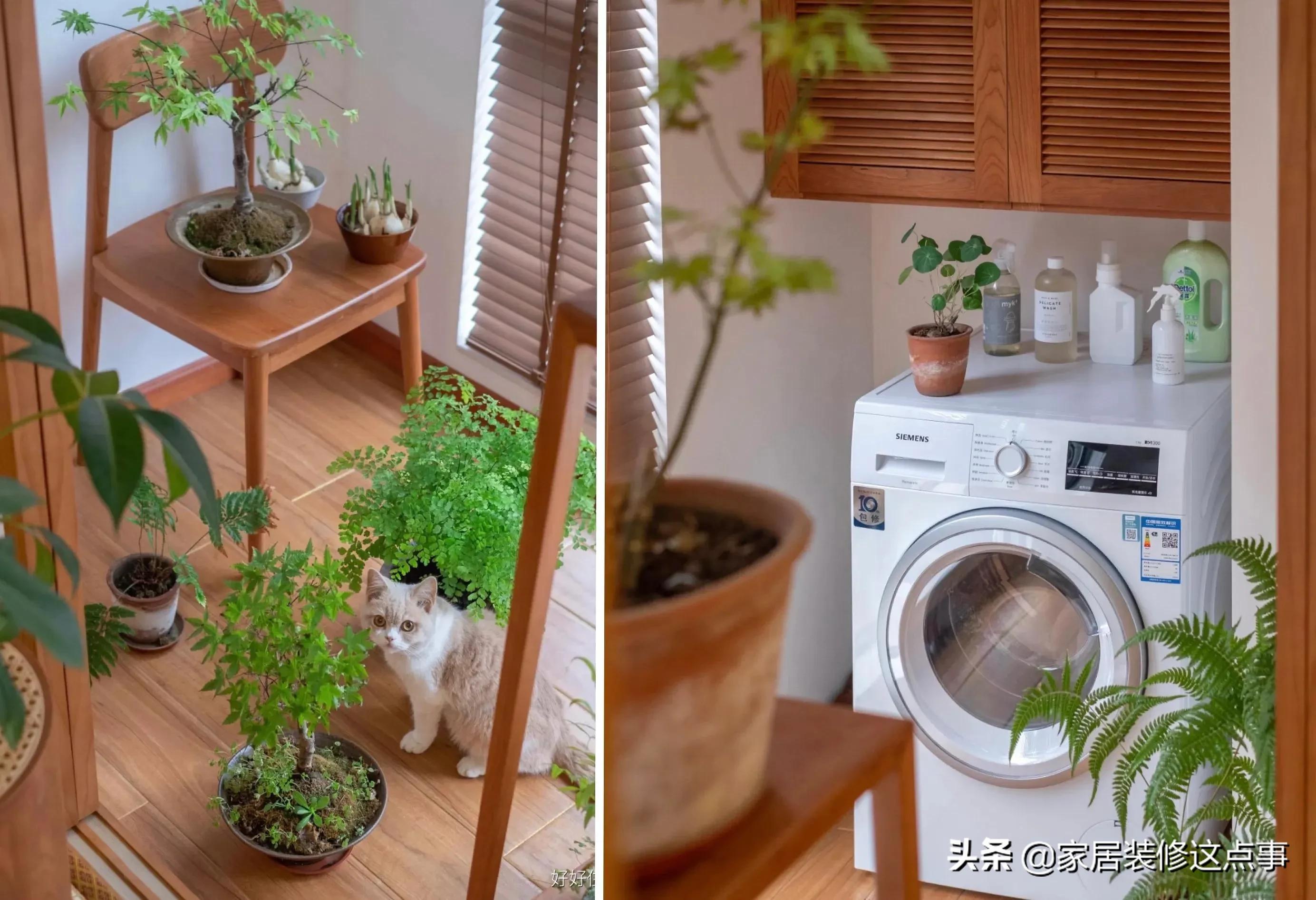 90㎡杭州独居小哥的家，全屋纤尘不染、透着骨子里的高级感，超赞