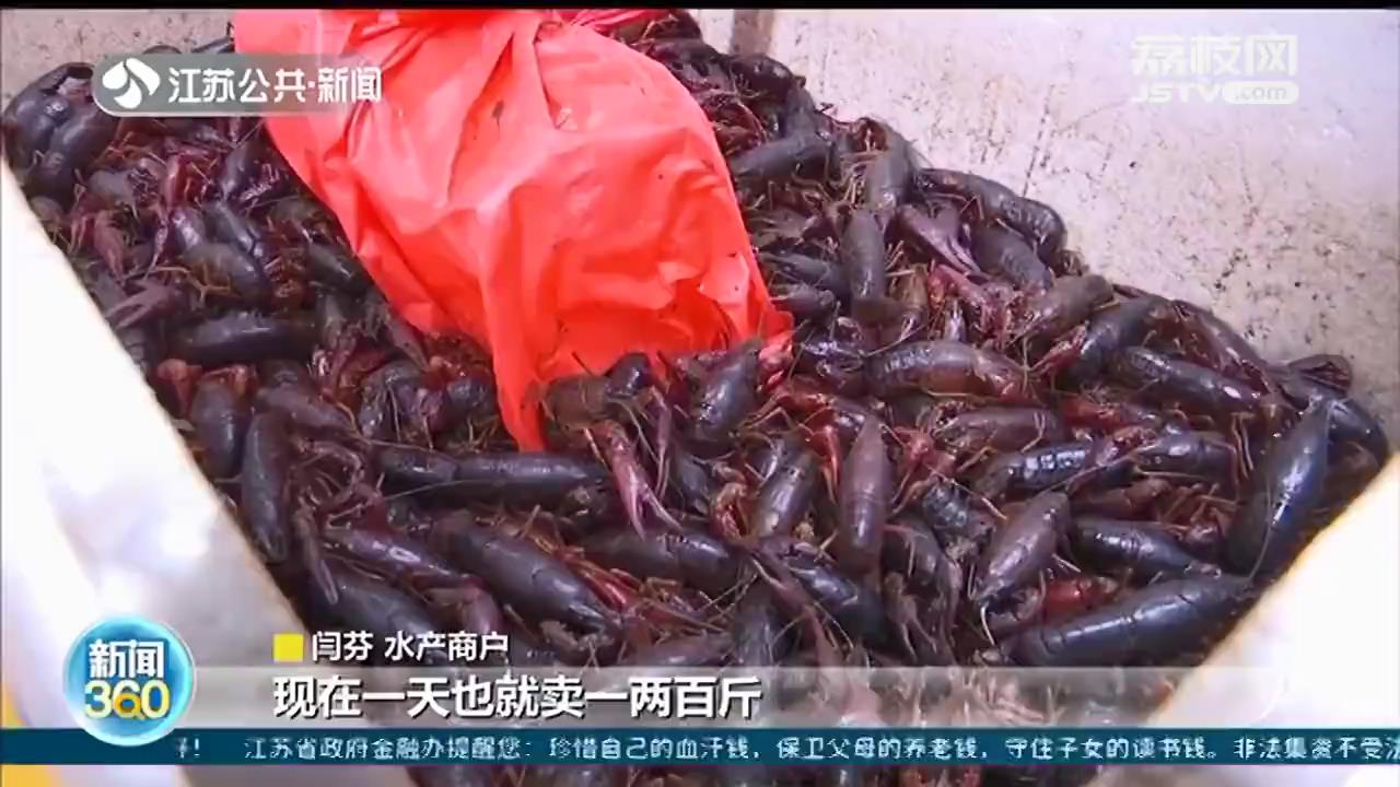 小龙虾&ldquo;抢滩登陆&rdquo;南京 尝鲜价每斤过百元