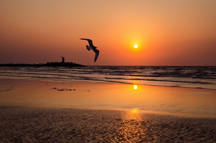 海边的夕阳，一片橙红橙红的