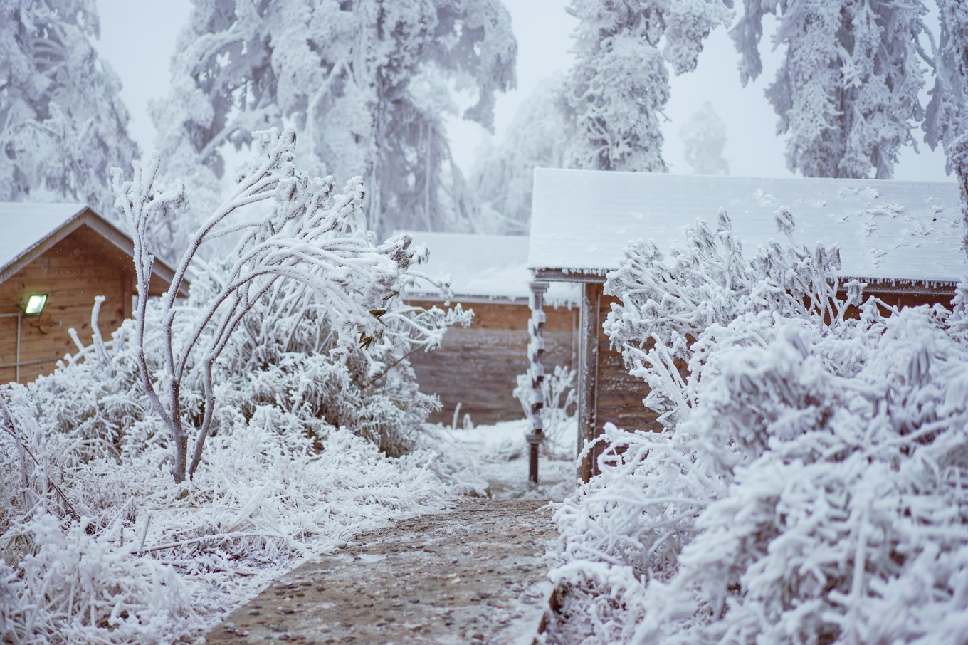 云海之上，贡嘎之巅，王岗坪冰雪之旅