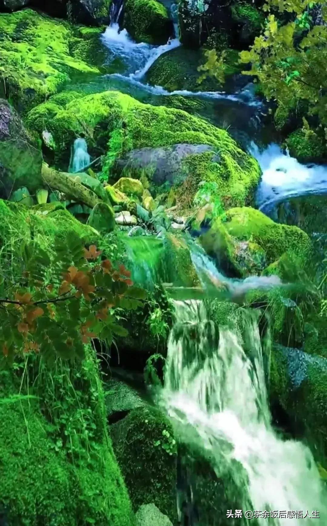 青山绿水，山有山的明净，水有水的无尘