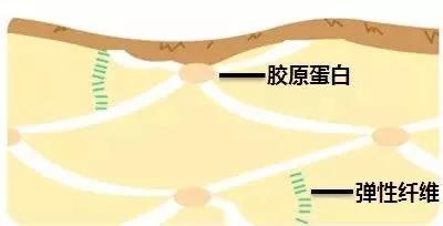 50多岁的我，是如何做到脸上没什么皱纹的？