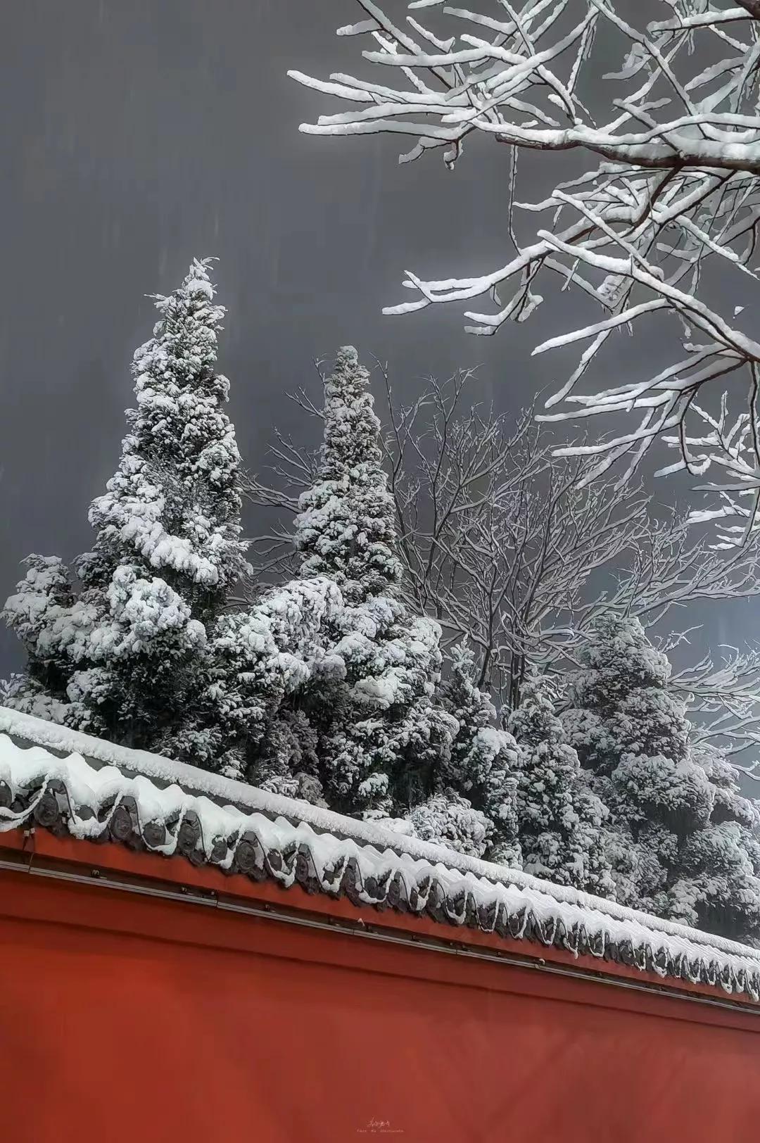 洛南雪景图片图片