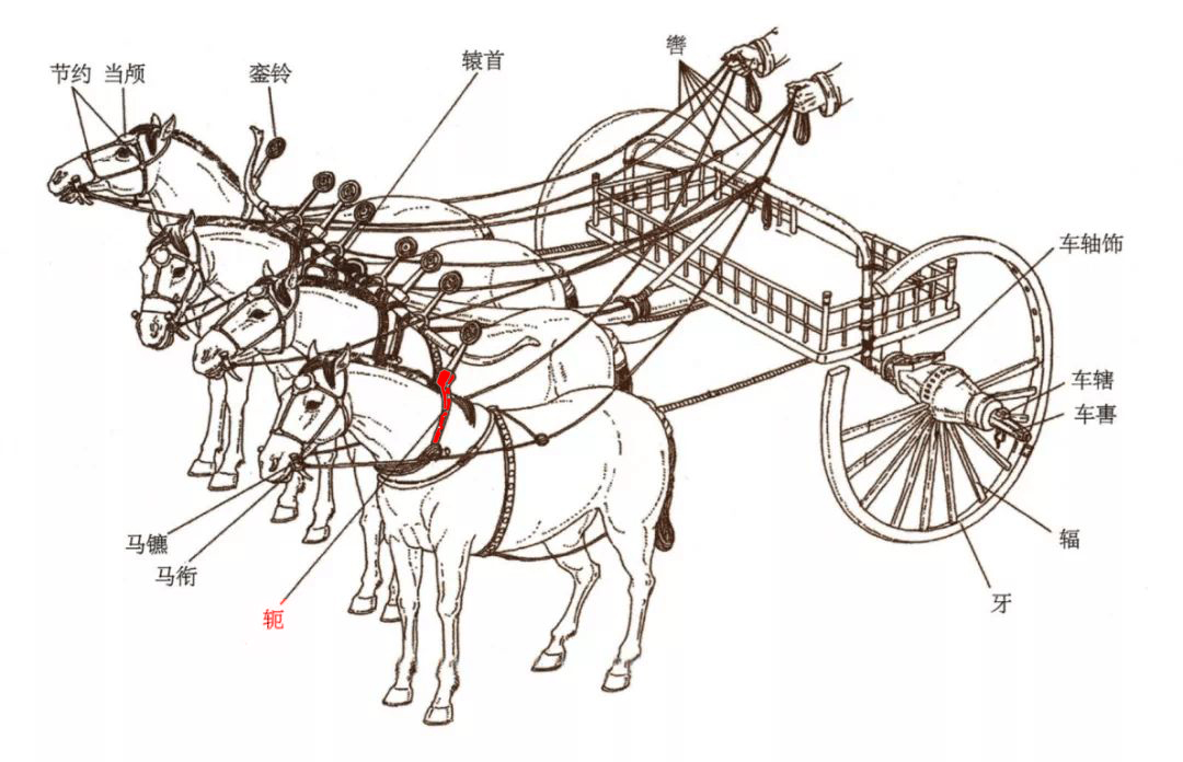 《說文解字》525課:在古代,車的各種部件也都有專業術語