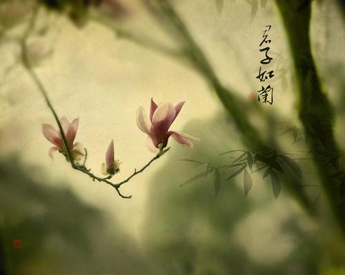 师徒情深！中考作文参考范文《你的馈赠点燃了我》