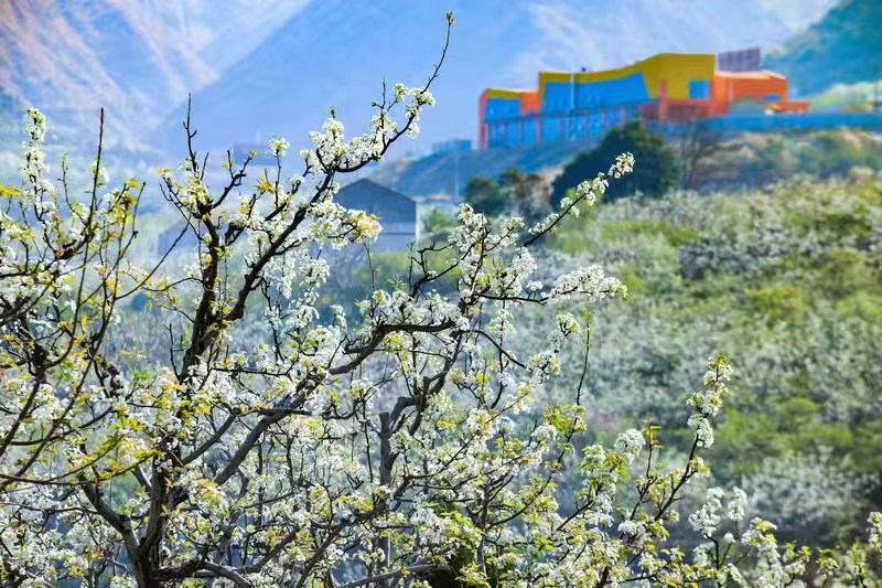 川渝采风团带你打卡“攀西阳光第一城”