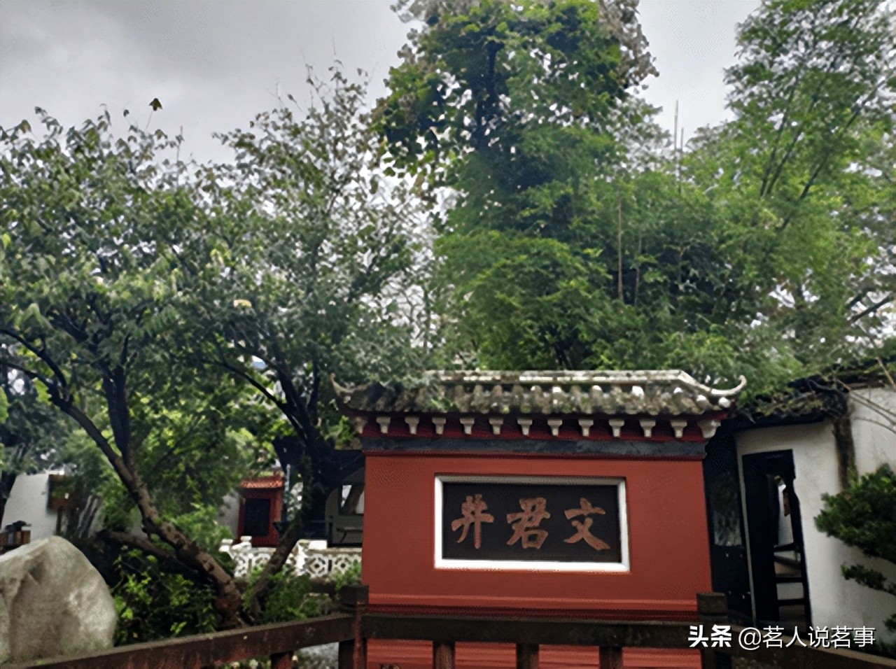 邛崃文君茶面面观：千秋文君茶今尤香