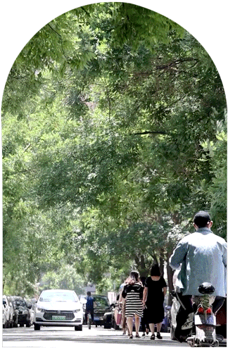 庙前街：总有美妙在不经意间