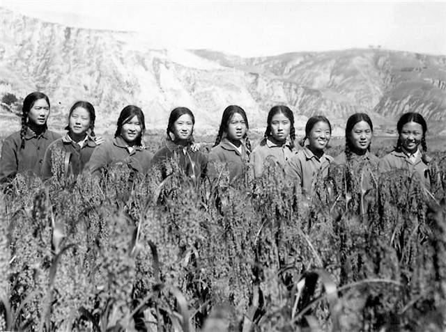 大连知青王冬梅：壮美的青春献给了草原