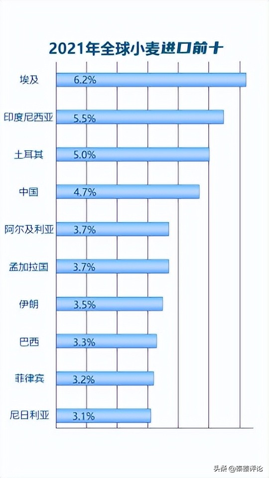 俄乌冲突影响粮食供应 十大小麦进口国怎么办 他们跟俄关系都铁 天天看点