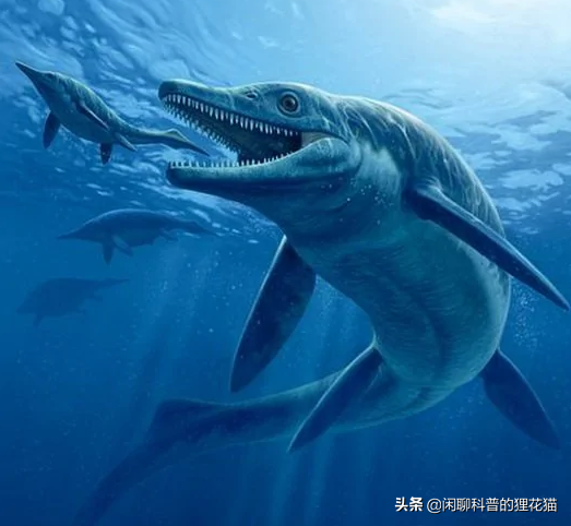 盘点史前海洋十大巨兽，从寒武纪走过始新世，每个时代顶级捕食者