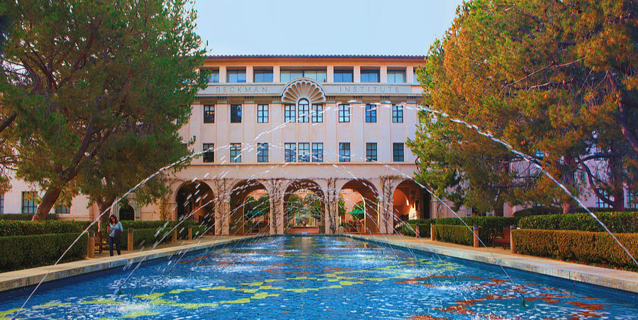 压力最大的美国大学top50！只要有头发，我就还能学