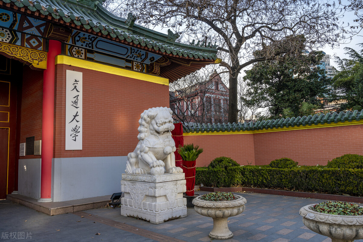 世界大学排名那么多，到底该看哪一个｜排名机制深度分析